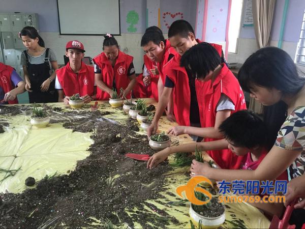 塘厦：34名残疾人免费参加园艺和面点技能培训