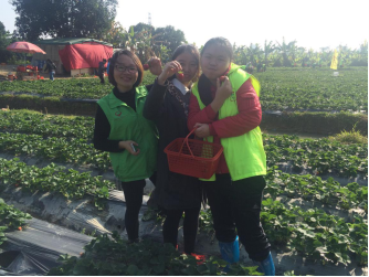 【茶山团委】“喜迎新春·青春飞扬”帮扶体验之旅