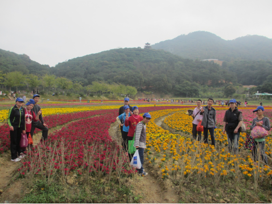 【清溪康就】繁花似锦·赏花清溪——清溪镇残疾人康复就业中心三八节赏花春游活动
