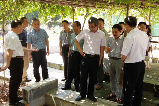 2014-2015年度社会企业项目社会投资平台报名公告